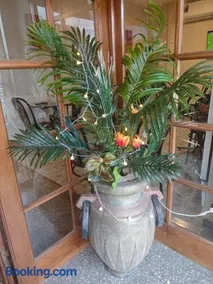 Hotel Coliseo - Image 5