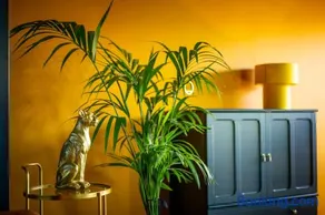 Little Jungle - Image 2