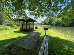 Beary Blessed Cabin - Image 2