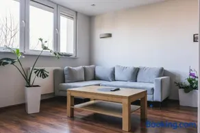 Gray - Image 3