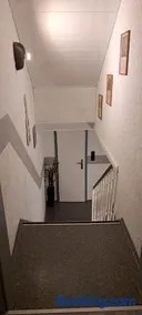 Schneeglöckchen - Image 5