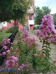 Palazzina - Image 1