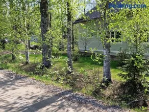 Koivikko - Image 2