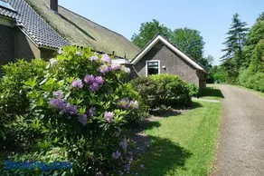 Vakantiewoning 't Stookhok Gasselte - Image 3