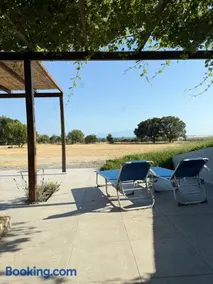 Vines horizon - Image 1