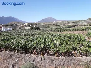 Sol Bolero - Image 2