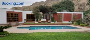 Las buganvilias - Image 2