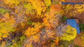 Chalet dans les arbres. 3 ch. /trees house 3bdr - Image 1