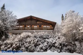 Alpenchalet Trutmundi undri - Image 2