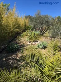 Au Soleil Levant - Image 2
