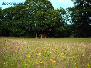 Hogchester Meadow Pods - Image 2