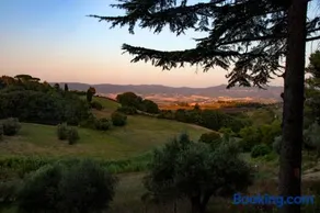 Agriturismo Terre della Rinascita - Image 3
