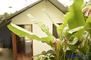 Casita Tangara - Image 5
