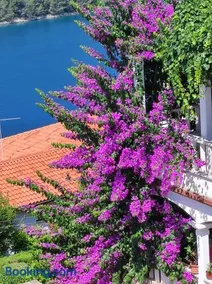 Villa Luma Apartments - Image 3