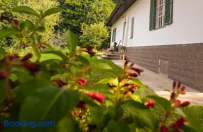 Ferienhaus Vogeljager - Image 1