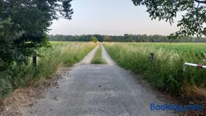 PipoParel - Image 3