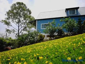 Tip House - Image 2