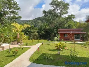 Jungle View Resort - Image 2