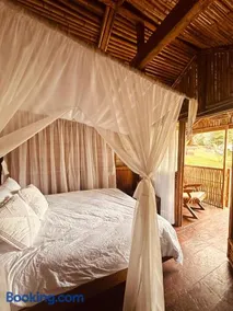 Montelena Glamping - Image 5