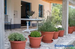 Studio apartman ROZA - Image 5