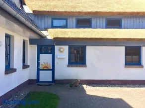 Seemöwe - Image 2