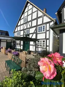 Fachwerkhaus im Sauerland - Goldhase Anno 1700 - Image 2