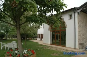 Rose Rosse - Image 4