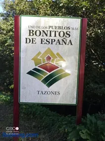 Tazones 79 VUT6993AS - Image 2