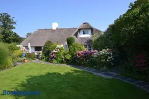 Moewennest - Image 1