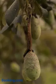Biofilia Colombia - Image 3