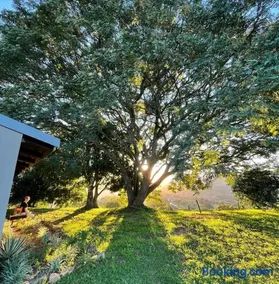 Green Hills Farm House - Image 2