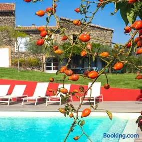 Maison spacieuse avec piscine à Saint-Lager-Bressac - Image 1