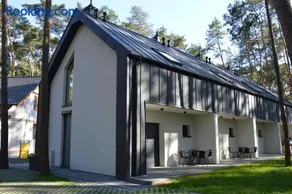 Karłowy Las - Image 3
