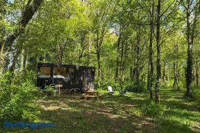 Tiny House La Clairière au milieu des bois ! - Image 1