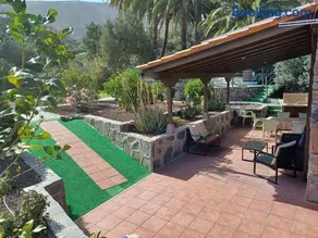Las Palmeras - Image 3