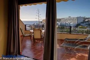 Tenerife lizards - duplex in the first line - Image 1