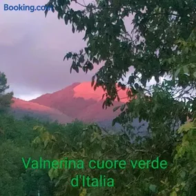Umbria Valnerina , Il TARTUFFO, sulla via di Francesco - Image 4