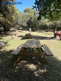Camping Internazionale Di Castelfusano - Image 5
