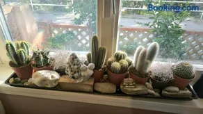 Apartment Serpa - Image 2