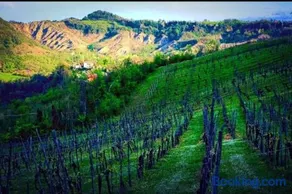 Monteombraro Relax - Image 5