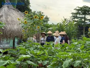 Daphne Homestay & Cooking Class - Image 3
