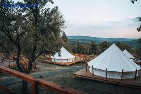 Vaideeni Glamping - Image 3