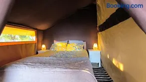 Cool Under Canvas - Image 2