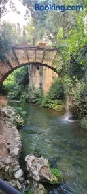 EL Gecko - Image 4