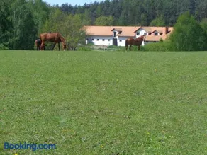 Sakowcówka - Agroturystyka , stajnia - Image 3