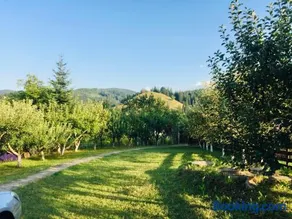 Forest Chalet Sucevita - Image 2
