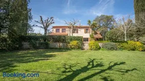 Olivos - Image 1