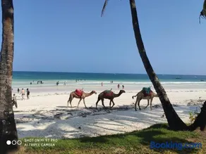 Rosy Sea Front Beach Condo - Image 3
