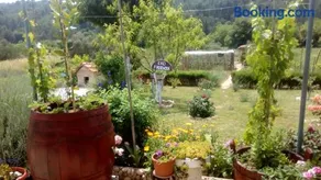 Apartman Rosa - Image 1
