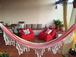 A Quinta da Estrelinha - Image 3